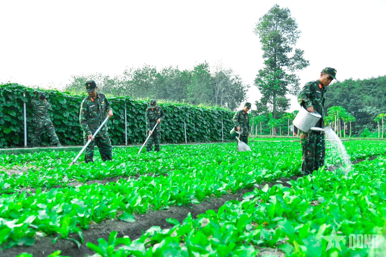 Sư đoàn 9 (Quân đoàn 34): Sắc xanh từ ý thức người chiến sĩ